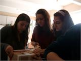 ALIM1748